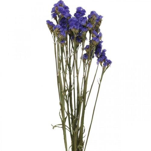 Artikel Bunt havlavendel, tørrede blomster, havlavendel, Statice Tatarica Blå L46–57cm 23g