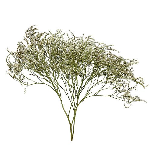 Artikel Havlavendel Statice Tatarica tørrede blomster naturlig 2kg