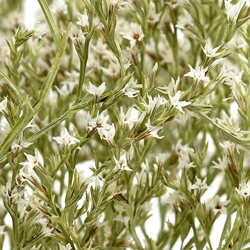 Artikel Havlavendel Statice Tatarica tørrede blomster naturlig 2kg