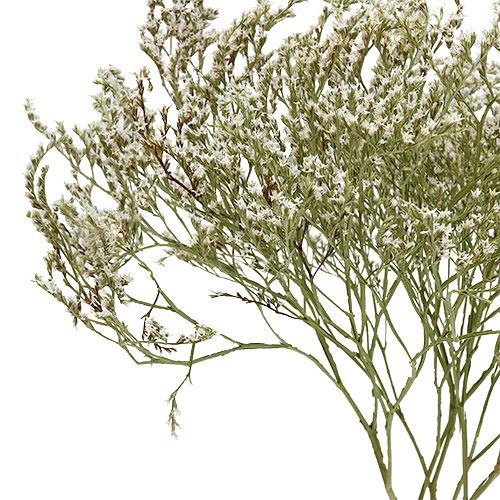 Artikel Havlavendel Statice Tatarica tørrede blomster naturlig 2kg
