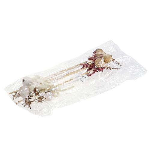 Floristik24 Elgprop naturlig, hvid 7cm L30cm 8stk
