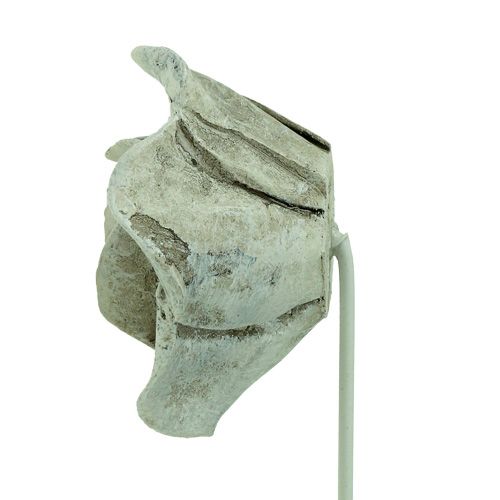 Floristik24 Stikroser assorteret. Ø5,5cm L19cm 4 stk