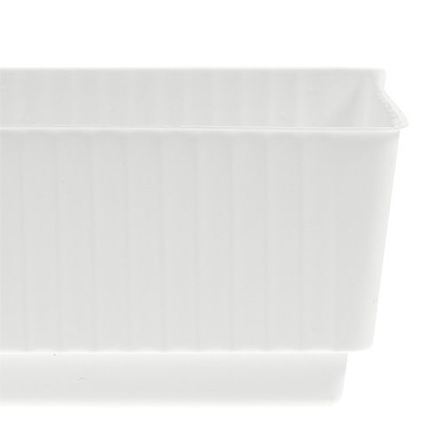 Floristik24 Fatbakke vådskum 23 x 8 x 4,5 hvid 10 stk