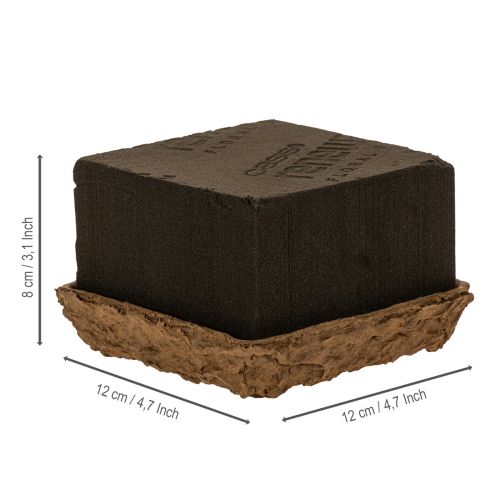 Blomsterskum 1/2 mursten OASIS® Renewal® Biolit® 12 cm 2 stk. | Floristik24.dk