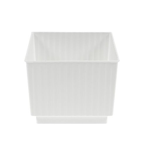 Terning til blomsterskum 6,5cm hvid 20stk
