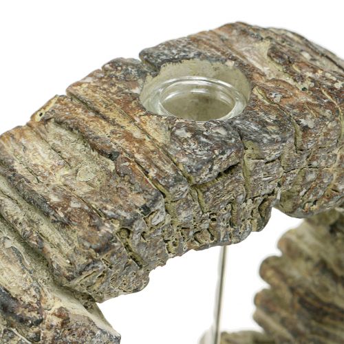 Floristik24 Betonvase med reagensglasring Ø16cm