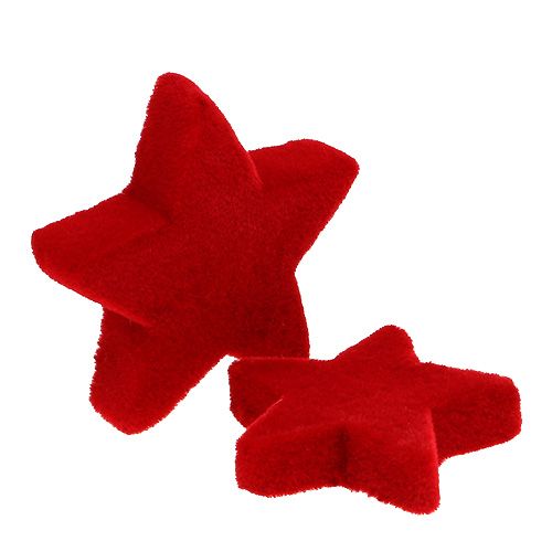 Floristik24 Stjernemix rødstrømmet 4-5cm 40stk