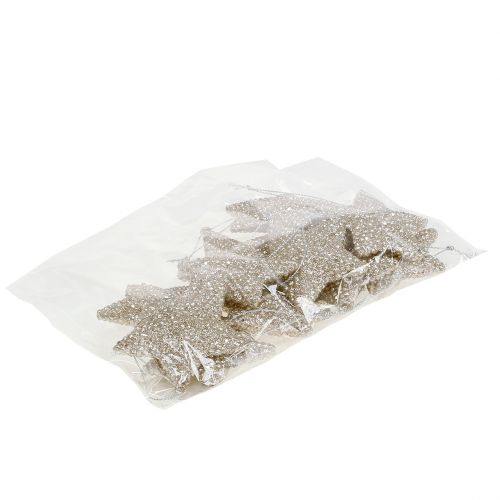 Floristik24 Stjerne med glimmerchampagne 7,5cm 12stk