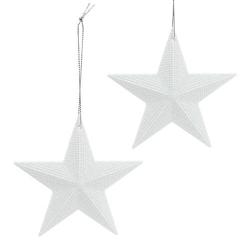 Floristik24 Stjerne til at hænge hvid 11cm L19cm 6stk