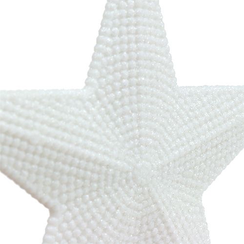 Floristik24 Stjerne til at hænge hvid 11cm L19cm 6stk