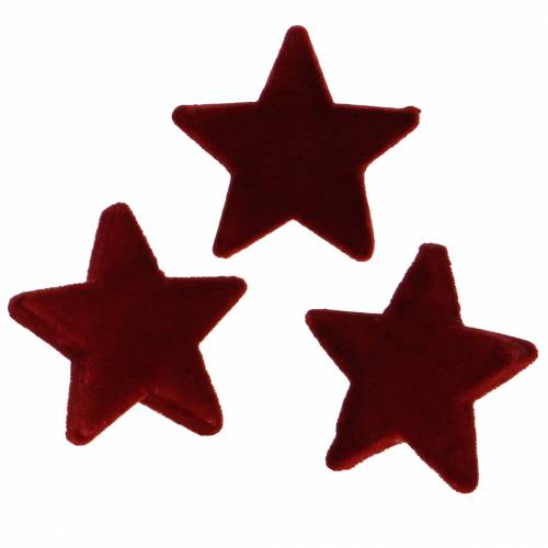 Floristik24 Spredte stjerner strømmede til Ø6,5cm Bordeaux 36stk