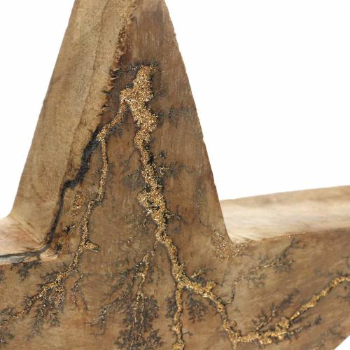 Floristik24 Julestjerne stående mango natur, gylden 20 × 20 × 3,5 cm