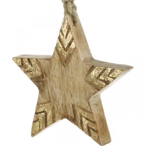 Floristik24 Stjerne mangotræ natur, gyldent juletræspynt 12cm 4 stk