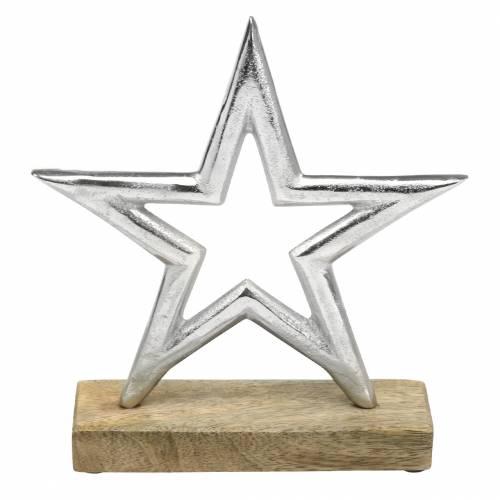 Floristik24 Stjerne til opsætning af mango, metal sølv 21 × 16,5 cm