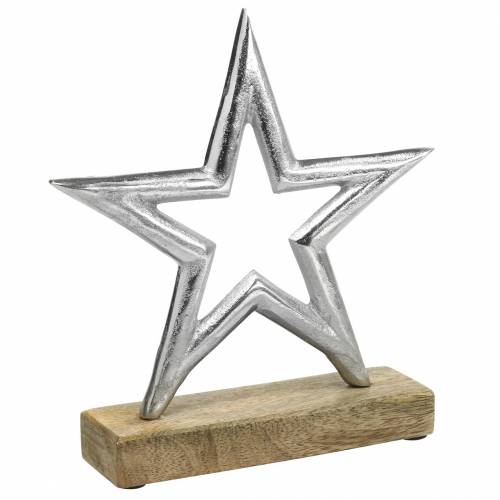 Floristik24 Stjerne til opsætning af mango, metal sølv 21 × 16,5 cm