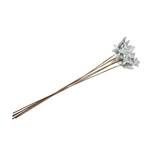 Floristik24 Stjerner på pinden sølv 60cm 5stk.