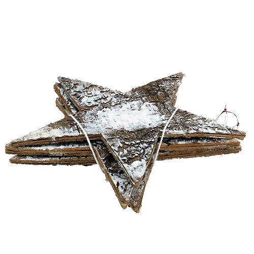 Floristik24 Birkebark stjerner hvid 29cm 3stk