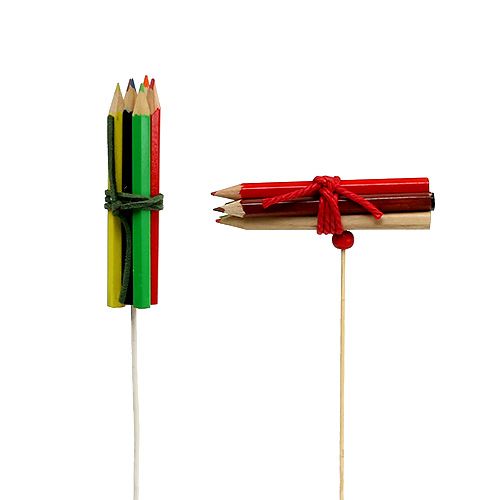 Floristik24 Pin bundt-stik farvet 10 stk