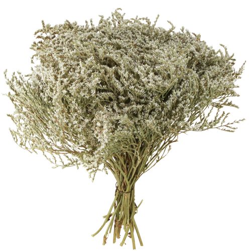 Floristik24 Havlavendel Statice Tatarica tørrede blomster naturlige 2 kg
