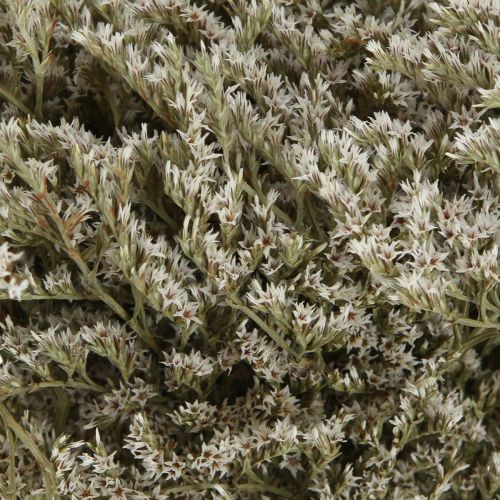Artikel Havlavendel Statice Tatarica tørrede blomster naturlige 2 kg