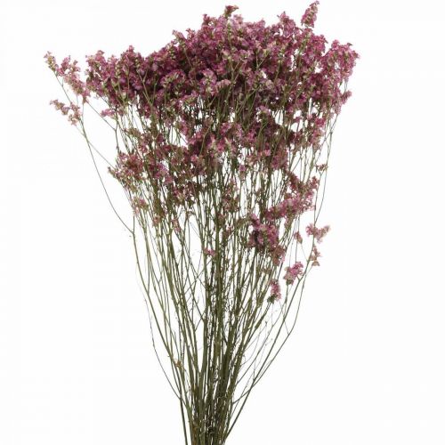 Statice, Hav Lavendel, Tørret Blomst, Vildblomst Bunch Pink L52cm 23g