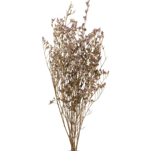 Floristik24 Beach Lilac Limonium Tørrede Blomster Lilla 70cm 50g