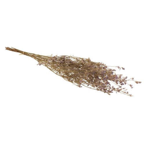 Artikel Beach Lilac Limonium Tørrede Blomster Lilla 70cm 50g