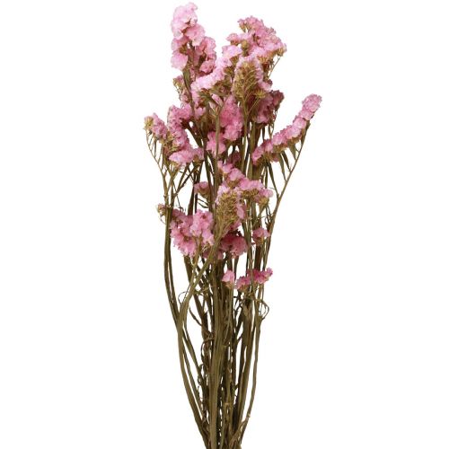 Beach Lilac Pink Limonium Tørrede Blomster 60cm 50g