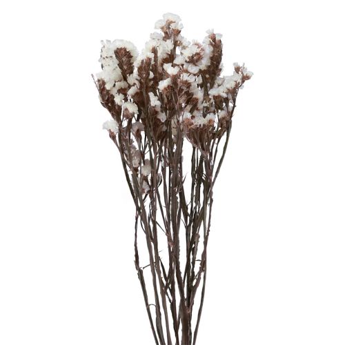 Floristik24 Beach Lilac White Limonium Tørrede Blomster 60cm 35g