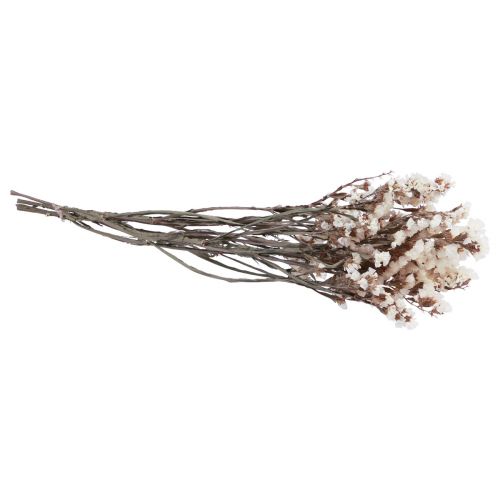 Floristik24 Beach Lilac White Limonium Tørrede Blomster 60cm 35g