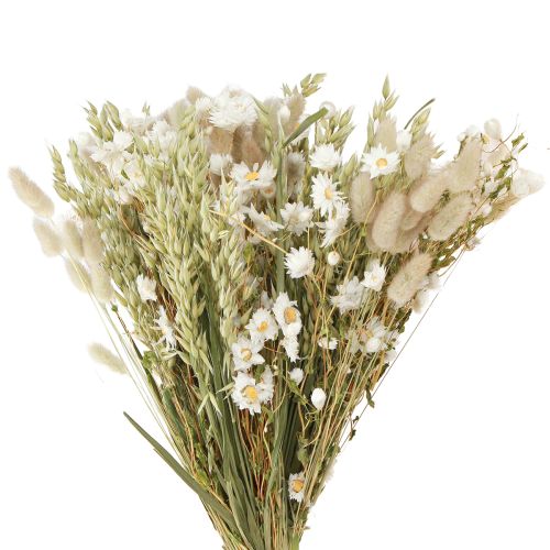 Floristik24 Buket tørrede blomster hvide strå blomster havre Lagurus 55cm