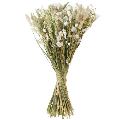 Floristik24 Buket tørrede blomster hvide strå blomster havre Lagurus 55cm