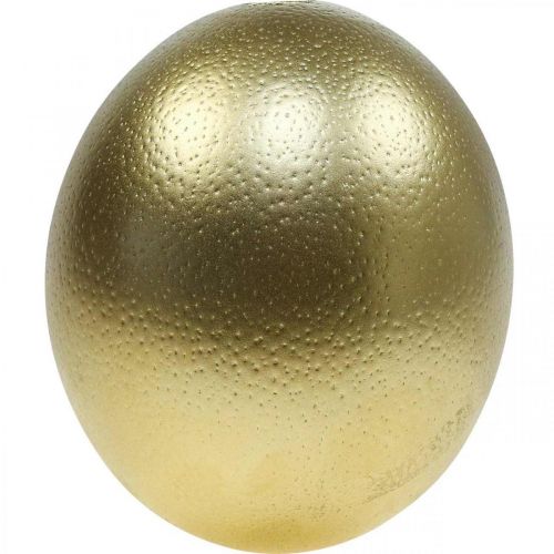 Strudseæg dekoration udblæst påskedekoration guld Ø12cm H14cm