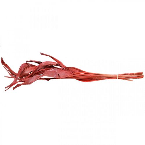Floristik24 Strelitzia blade rød frostet tør floristry 45-80cm 10 stk