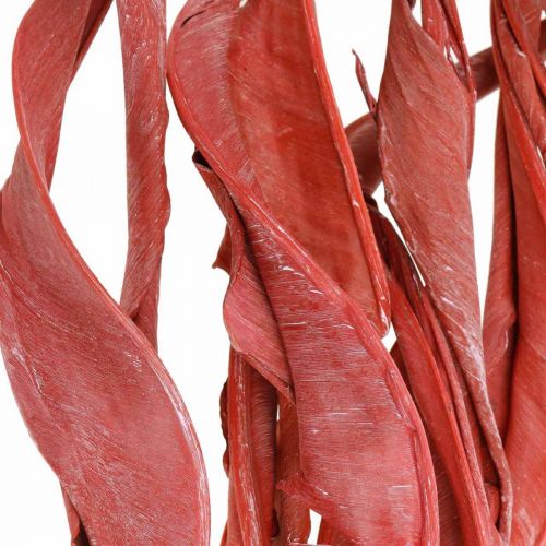 Floristik24 Strelitzia blade rød frostet tør floristry 45-80cm 10 stk