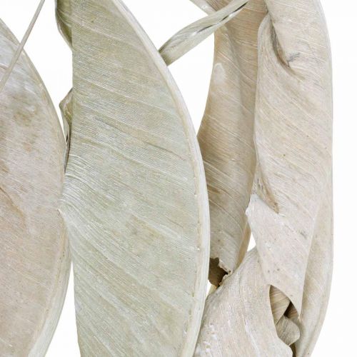 Artikel Strelitzia blade vasket hvide tørrede 45-80cm 10p