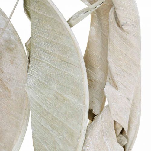 Floristik24 Strelitzia blade hvidvaskede tørrede 45-80cm 10 stk