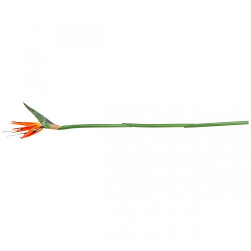 Floristik24 Strelizie reginae kunstig blomst orange paradisfugl L85cm