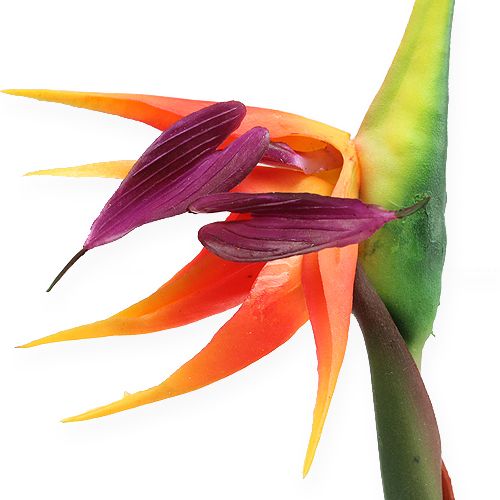 Artikel Strelitzia paradisfugl blomst 62cm