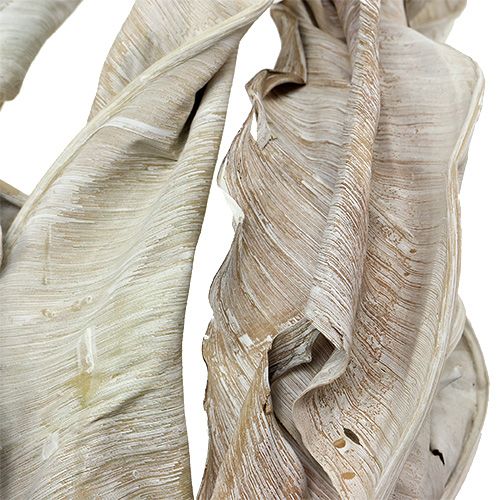 Artikel Dekorative blade Strelitzia blade vaskede hvide 120cm 10stk