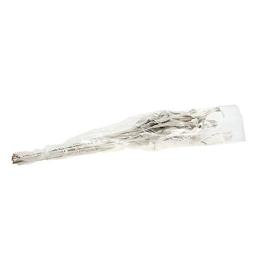 Floristik24 Dekorationsblade Strelitzia blade hvidvaskede 120cm 10 stk