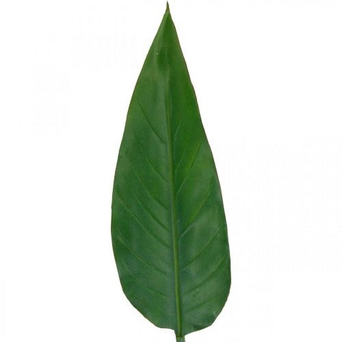 Floristik24 Strelitzia Papegøje Blomst Dekorativ Blad Strelitzia Blad Grøn L81cm