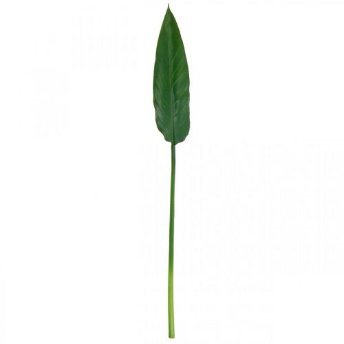 Floristik24 Strelitzia Papegøje Blomst Dekorativ Blad Strelitzia Blad Grøn L81cm