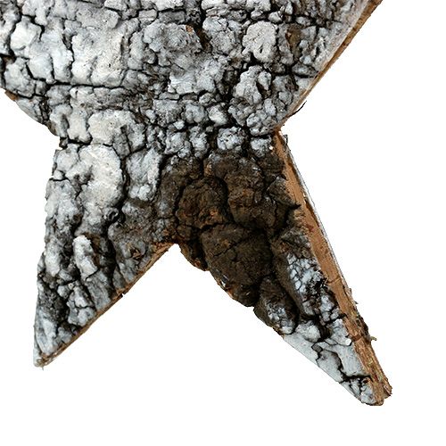 Floristik24 Birkebarkstjerne stor hvid 19cm 4stk