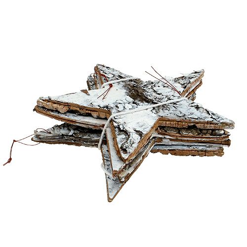 Floristik24 Birkebarkstjerne stor hvid 19cm 4stk