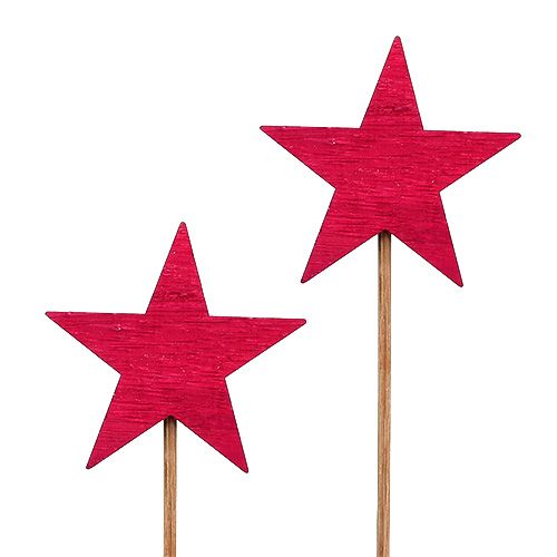 Floristik24 Stjerner fuchsia som stik 7cm 12stk