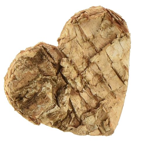 Floristik24 Scatter dekoration træhjerte træhjerter bark birk 4cm 60 stk