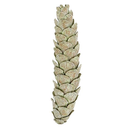 Artikel Strobus kegler som naturlig dekoration 15cm - 20cm grøn 50 stk
