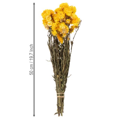Artikel Tørrede gule stråblomster (Helichrysum) buket, 100 g
