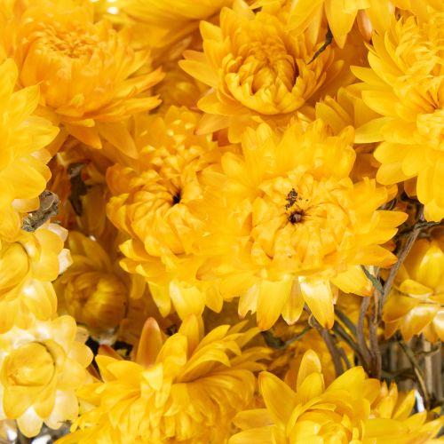 Artikel Tørrede gule stråblomster (Helichrysum) buket, 100 g